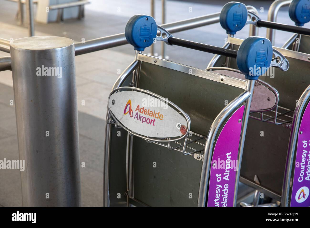 Valigie e trolley per il trasporto di valigie all'aeroporto di Adelaide, Australia meridionale Foto Stock