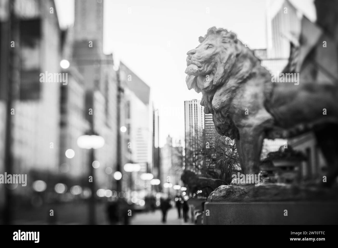 Lion di fronte all'Art Institute di Chicago, in Michigan Avenu Foto Stock