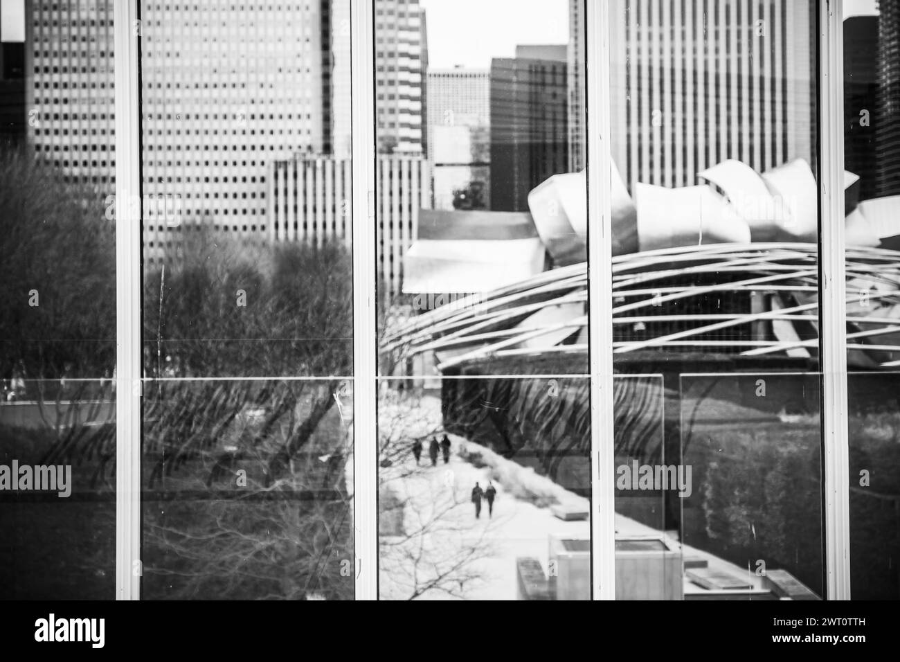 Millenium Park, visto dall'Art Institute di Chicago, febbraio Foto Stock