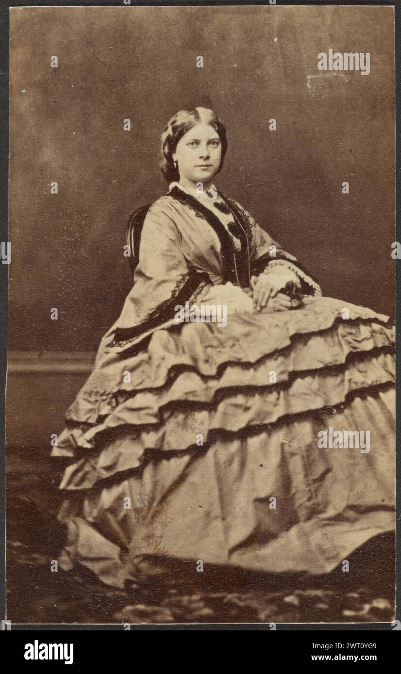 Ritratto di una donna. Sconosciuto, fotografo tardo XIX secolo Ritratto di una donna seduta con un vestito voluminoso. (Verso, stampa) in basso a destra, a matita: "A50"; Foto Stock