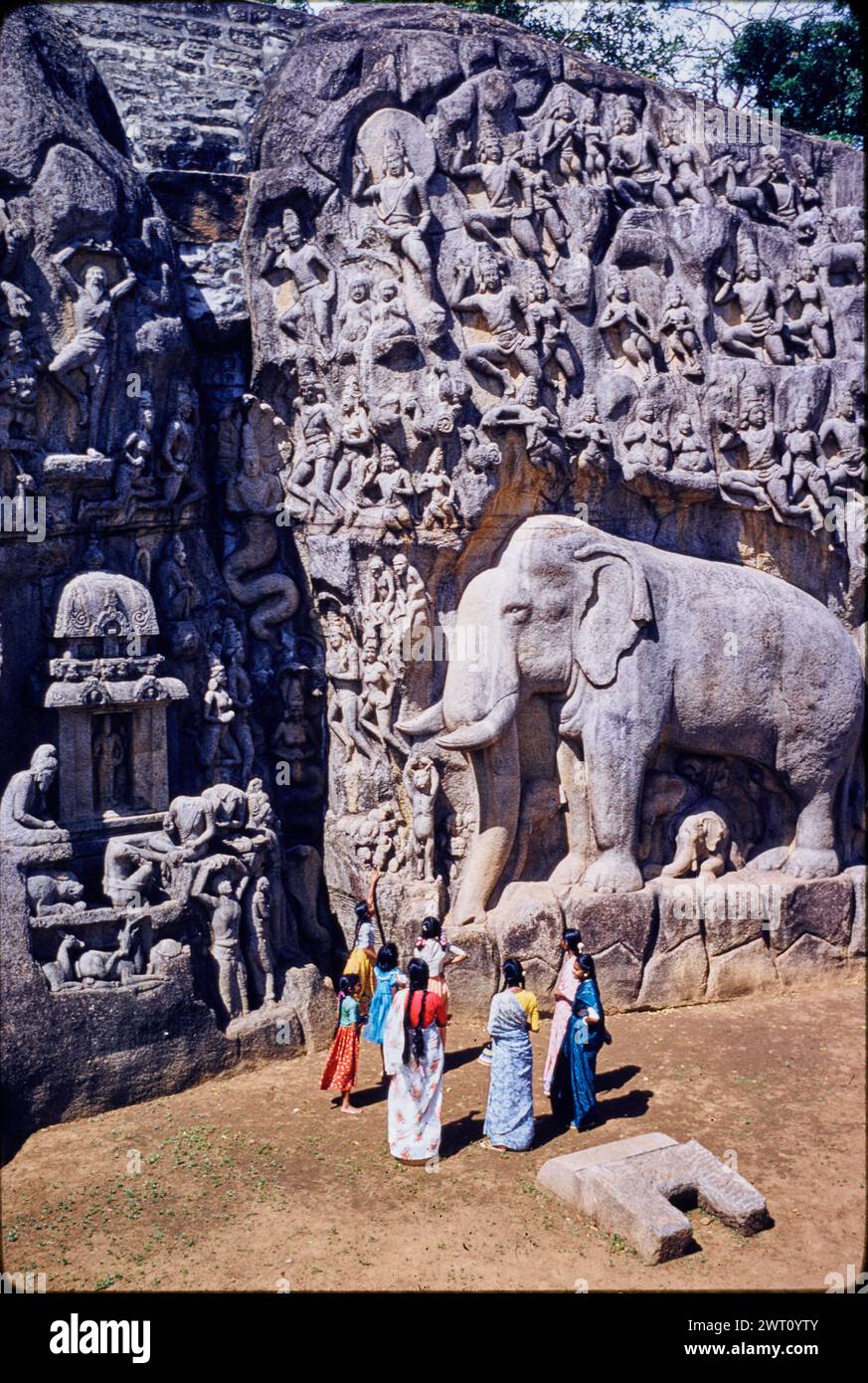 India Māmallapuram discesa del Gange immagine inedita 2. Swaan, Wim. 1968 o precedenti materiali di produzione fotografica per città di Mughul India: Delhi, Agra, Fatehpur Sikri fotografie di architettura sono state selezionate e digitalizzate da questi materiali. Ritratti, immagini etnografiche e immagini di oggetti museali sono stati esclusi. Le immagini digitali sono disposte geograficamente, prima per paese, poi per città, poi per sito complesso o monumento, con tutti i nomi in ordine alfabetico. I nomi delle località derivano dalle intestazioni tematiche della Biblioteca del Congresso Getty Thesaurus of Geographic Names (TGN)®, Foto Stock