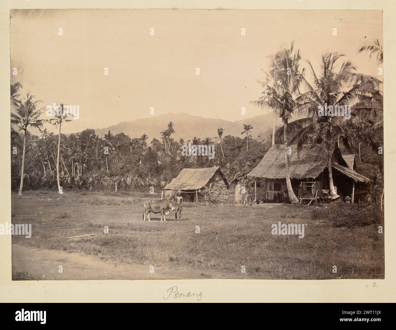 Penang. Sconosciuto, fotografo anni '1850-'1890 Vista di una piccola casa con tetto di paglia con una capanna più piccola dietro di essa. La casa si trova ai margini di una foresta tropicale, circondata da alte palme e da altre vegetazione aggrovigliata. Tre bambini siedono su una panchina sotto il portico della casa, e un uomo sta in piedi nel campo erboso tenendo un bue mentre guarda la macchina fotografica. Una strada sterrata corre oltre il campo in primo piano. (Recto, monta) centro inferiore, sotto la stampa, scritto a mano a matita: "Penang"; in basso a destra, sotto la stampa, scritto a mano a matita: "2" Foto Stock