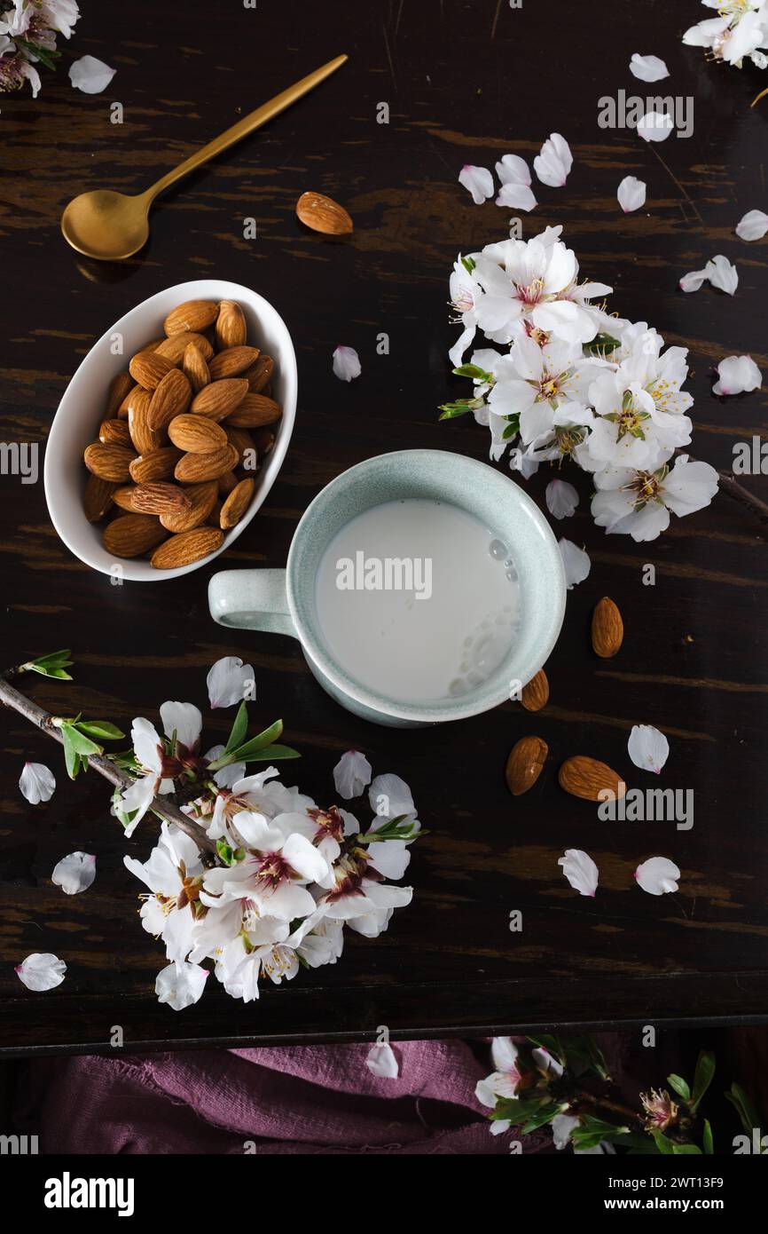 Latte di mandorle con mandorle e fiori di mandorle sul tavolo Foto Stock