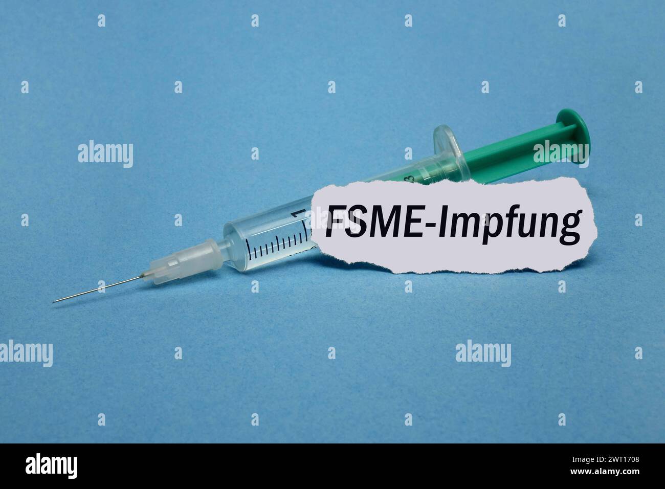 Spritze und FSME-Impfung Spritze und FSME-Impfung, 15.03.2024, Borkwalde, Brandeburgo, an einer Spritze befindet sich der Schriftzug FSME-Impfung. *** Siringa e vaccinazione TBE e vaccinazione TBE, 15 03 2024, Borkwalde, Brandeburgo, una siringa reca l'iscrizione vaccinazione TBE Foto Stock