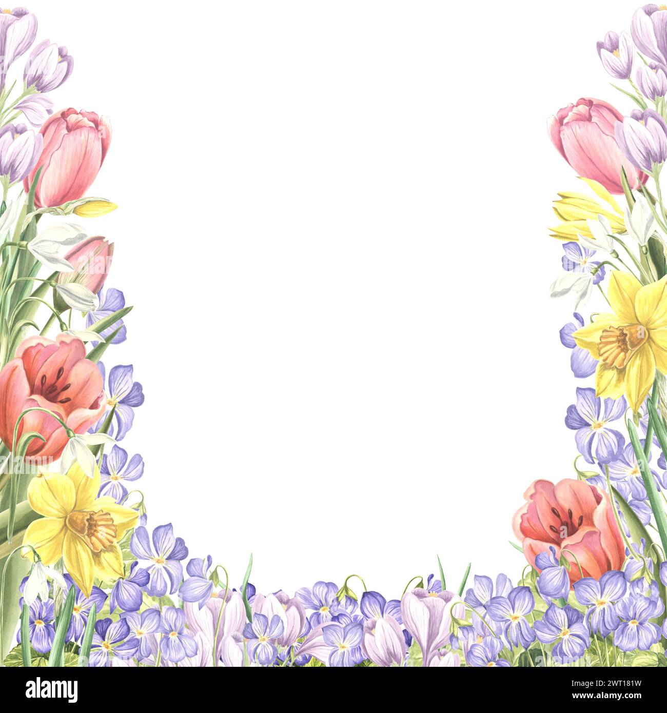 Cornice quadrata di fiori primaverili. Illustrazione isolata ad acquerello disegnata a mano di tulipani, narcisi, croci, violette selvatiche. Cartolina floreale. Modello Foto Stock