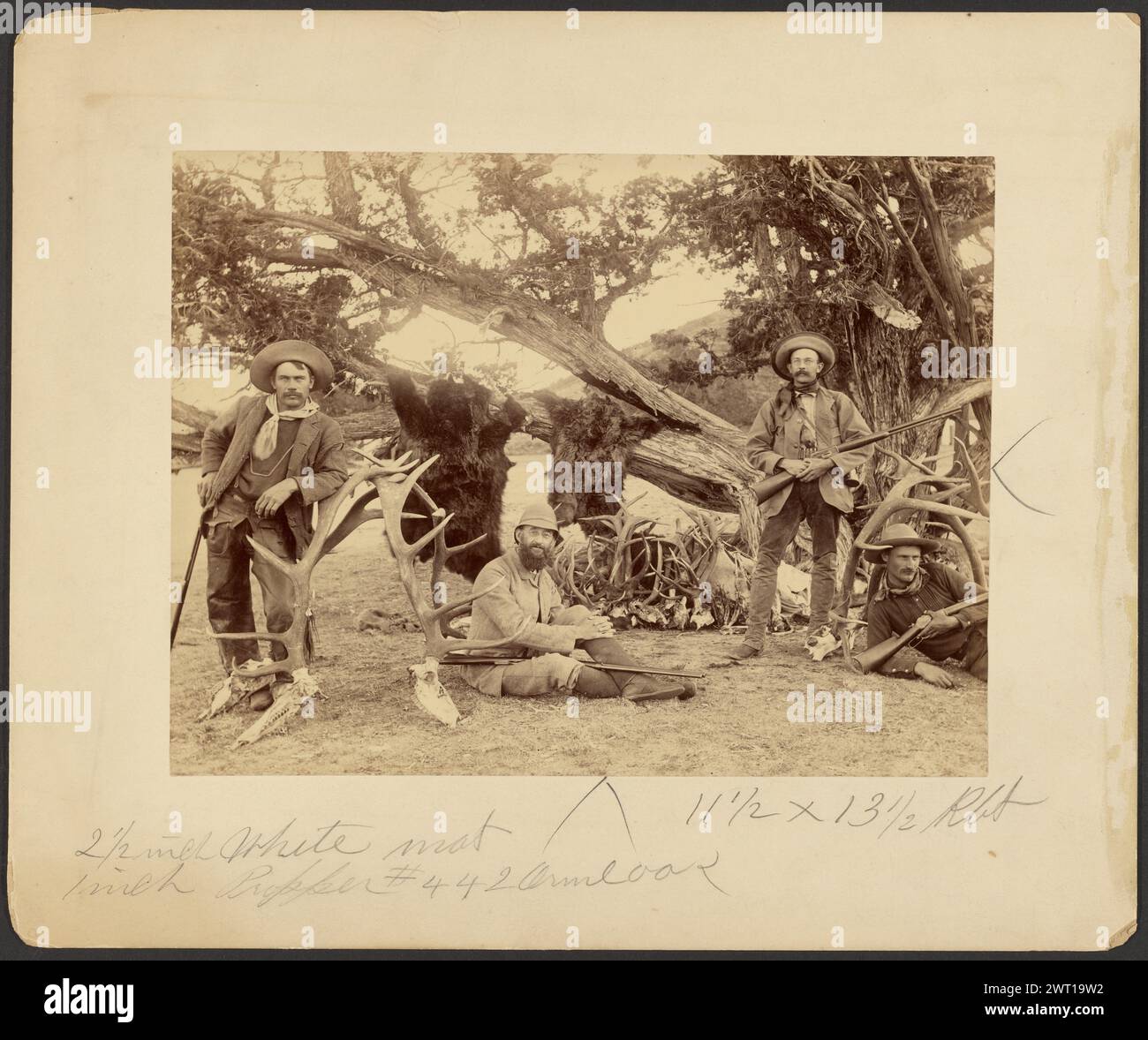Festa Lispenard Stewart, #6 - 5th Ave., N.Y. con trofei di vecchio cedro, Mammoth Hot Springs, Parco Nazionale di Yellowstone. Frank Jay Haynes, fotografo (americano, 1853 - 1921) 4 ottobre 1887 quattro uomini con fucili posti sotto un albero, circondati da trofei di caccia. Ci sono pelli di orso appese all'albero e teschi con corna a terra. (Recto, montaggio) parte centrale inferiore, matita: "2 1/2 pollici tappetino bianco ^ 11 1/2 x 13 1/2 RBT/Inch Propper [sic] #442 Armloa [sic]"; Foto Stock