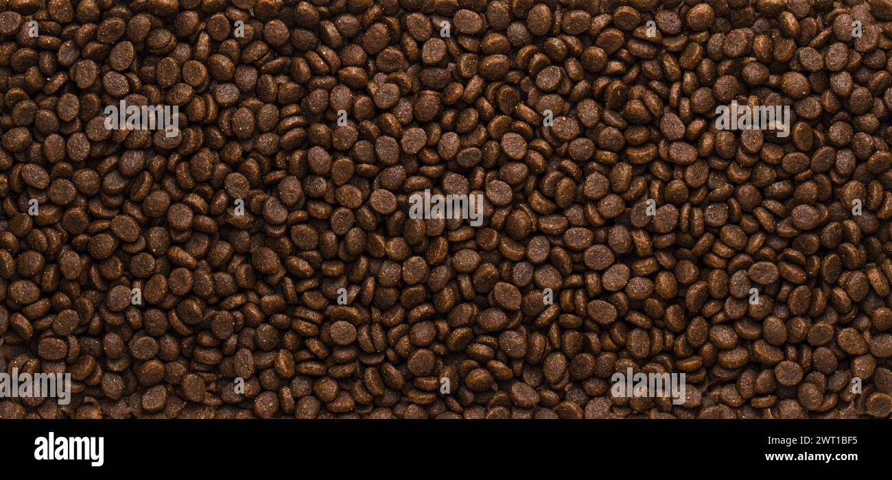 Alimenti secchi per animali domestici. Granuli di buona nutrizione per gatti o cani Foto Stock