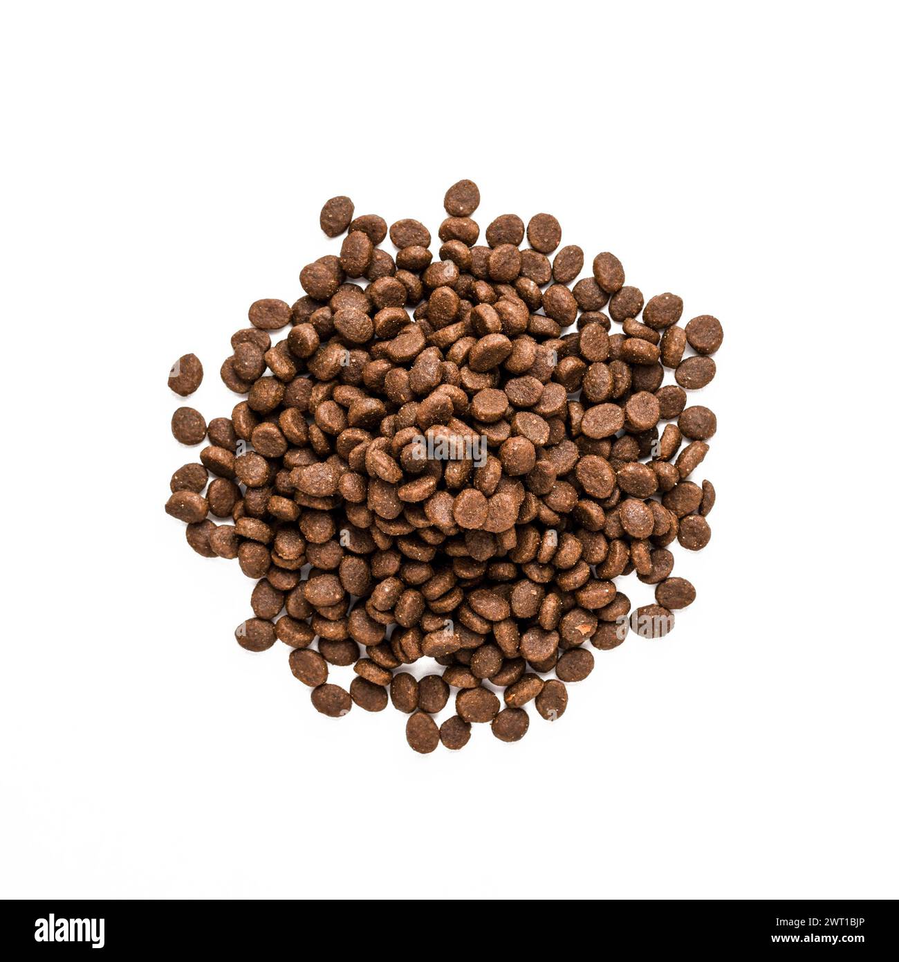 Cibo per animali domestici asciutto. Mucchio di mangimi granulati per animali. Granuli di buona nutrizione per cani e gatti Foto Stock