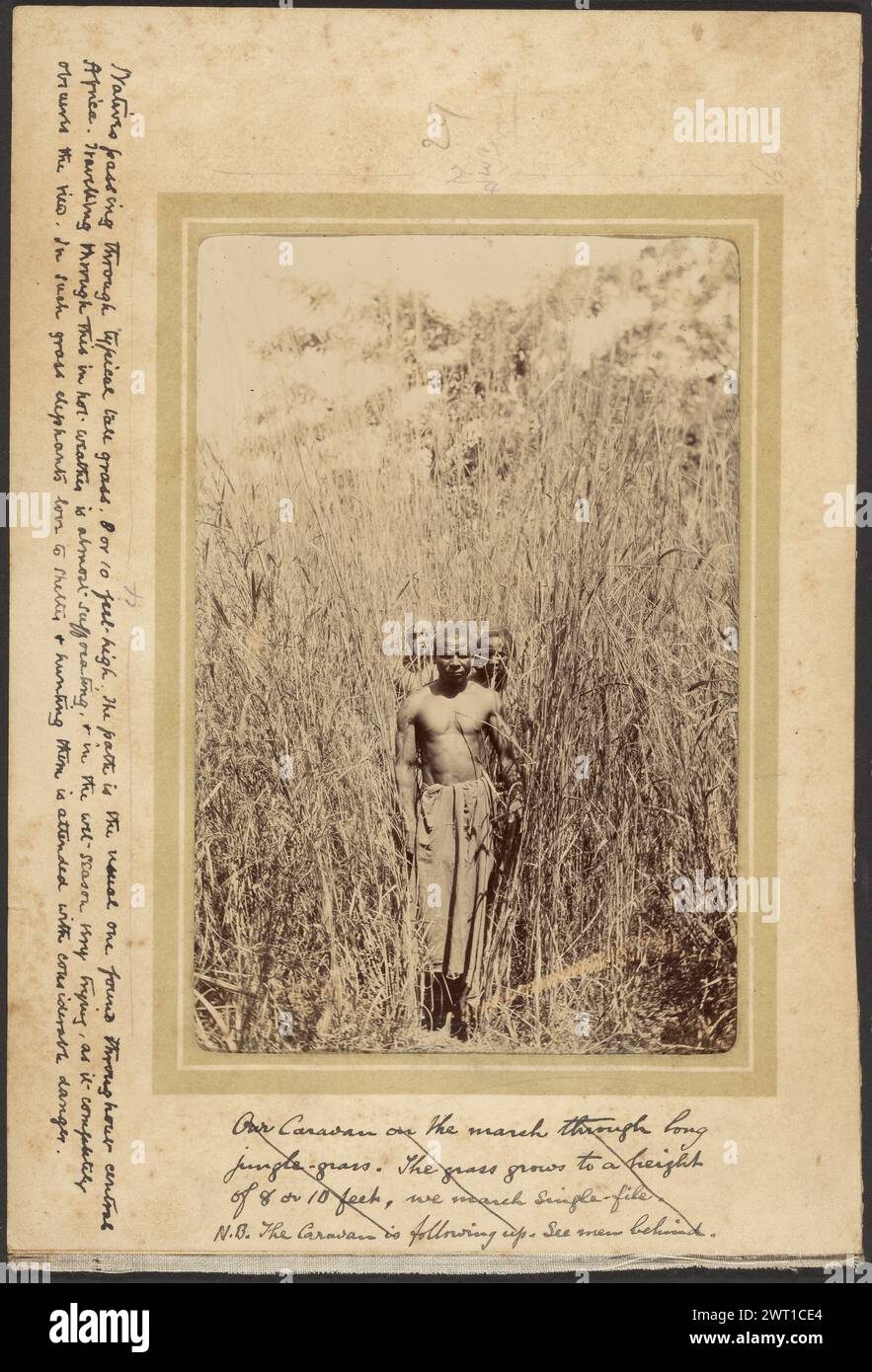 Un percorso africano attraverso High Grass. Sconosciuto, fotografo 1910 Un uomo che guida un gruppo attraverso l'erba alta, che cresce in alto sopra la sua testa. L'uomo ha un panno avvolto intorno alla vita. Due membri del gruppo sono visibili dietro di lui, uno che guarda su ciascuna delle sue spalle. (Recto, Mount) centro superiore, matita: "29/2 3/4/Swann"; (Recto, Mount) centro sinistro, inchiostro nero: "4"; (richiamo, Mount) al centro a sinistra, inchiostro nero: "nativi che passano attraverso la tipica erba alta, 8 o 10 piedi di altezza. Il percorso è il solito che si trova in tutto il centro/Africa. Viaggiare in questo posto con il caldo è quasi soffocante, e dentro Foto Stock