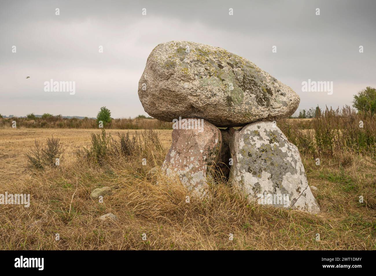 Tomba megalitica, Danimarca, Fuenen Foto Stock