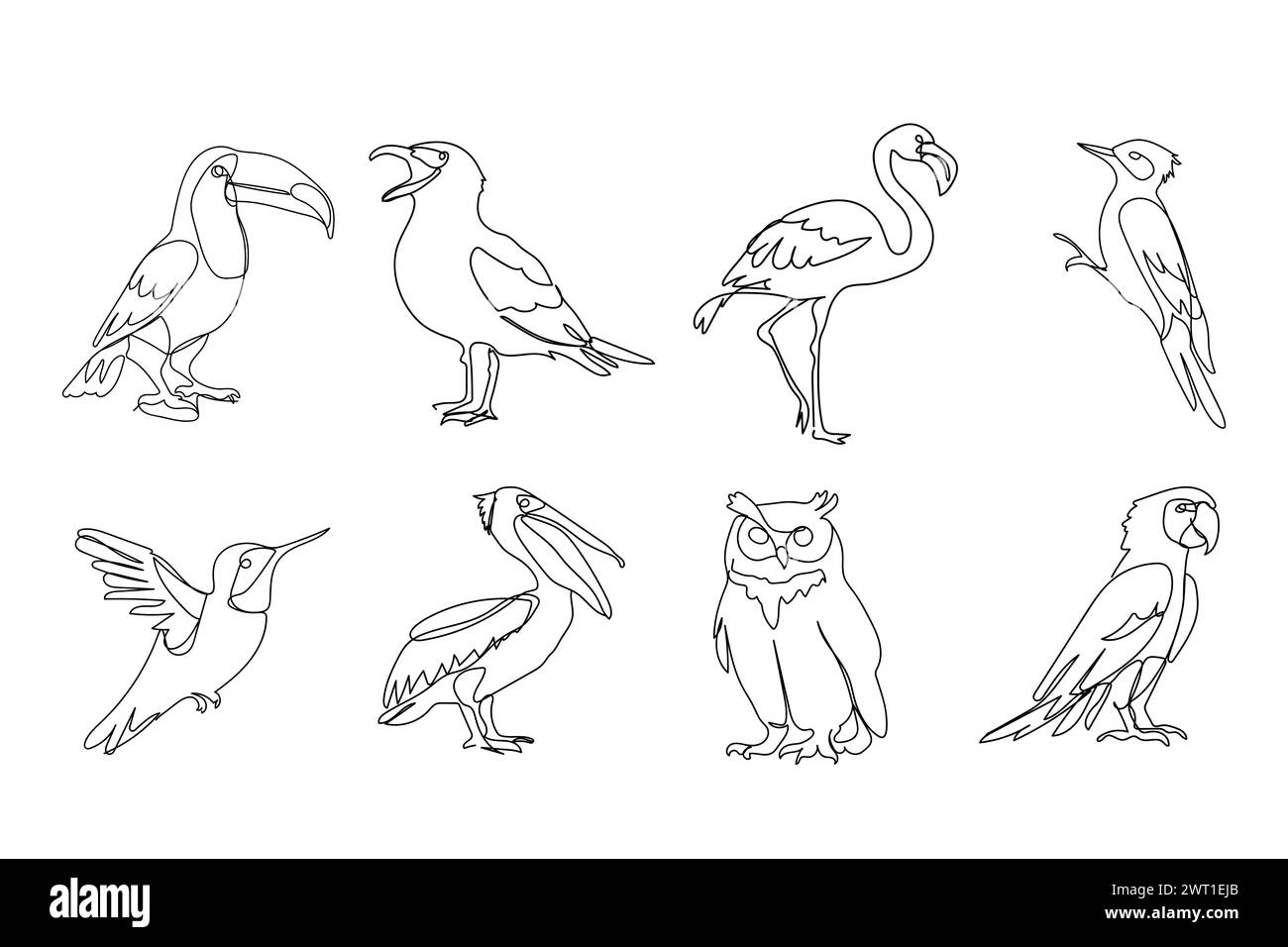 set di uccelli diversi, disegno linea nera, tucano, gabbiano, gufo, gufo, pappagallo, su sfondo bianco Illustrazione Vettoriale
