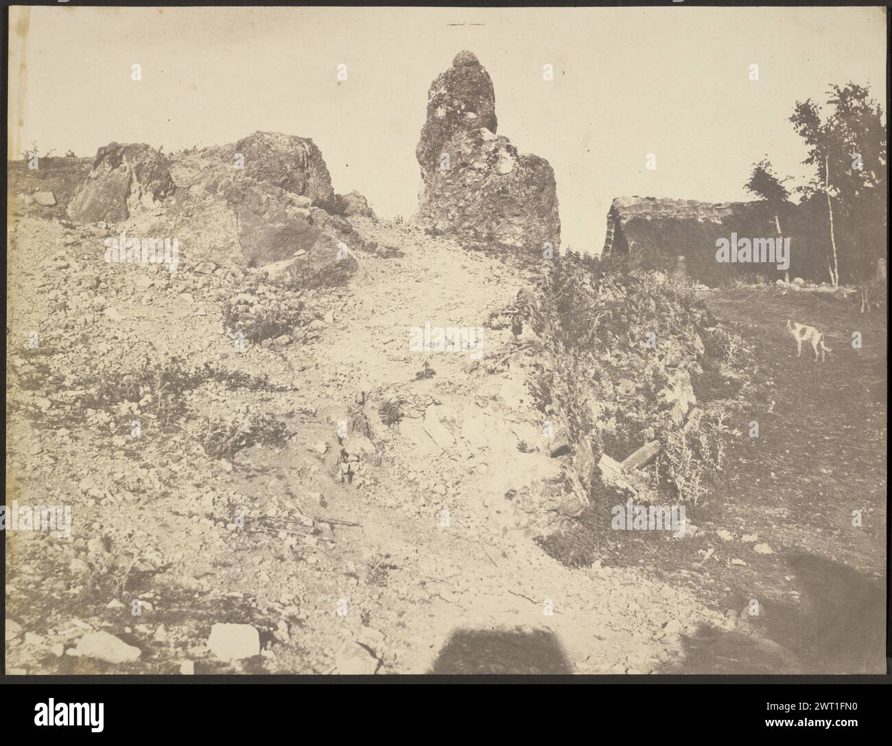 Paesaggio roccioso. Édouard Baldus, fotografo (francese, nato in Germania, 1813 - 1889) 1850–1855 Un cane appare su un sentiero a destra. (Verso) inciso a matita, in basso a sinistra, da André Jammes: "Col. Petiot-Groffier' Foto Stock