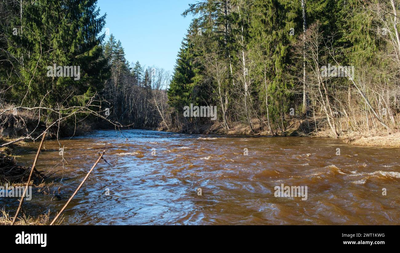 Entra in un mondo di meraviglie presso Amatas Dabas Taka, dove la melodia del fiume si armonizza con la maestosa presenza delle scogliere Foto Stock