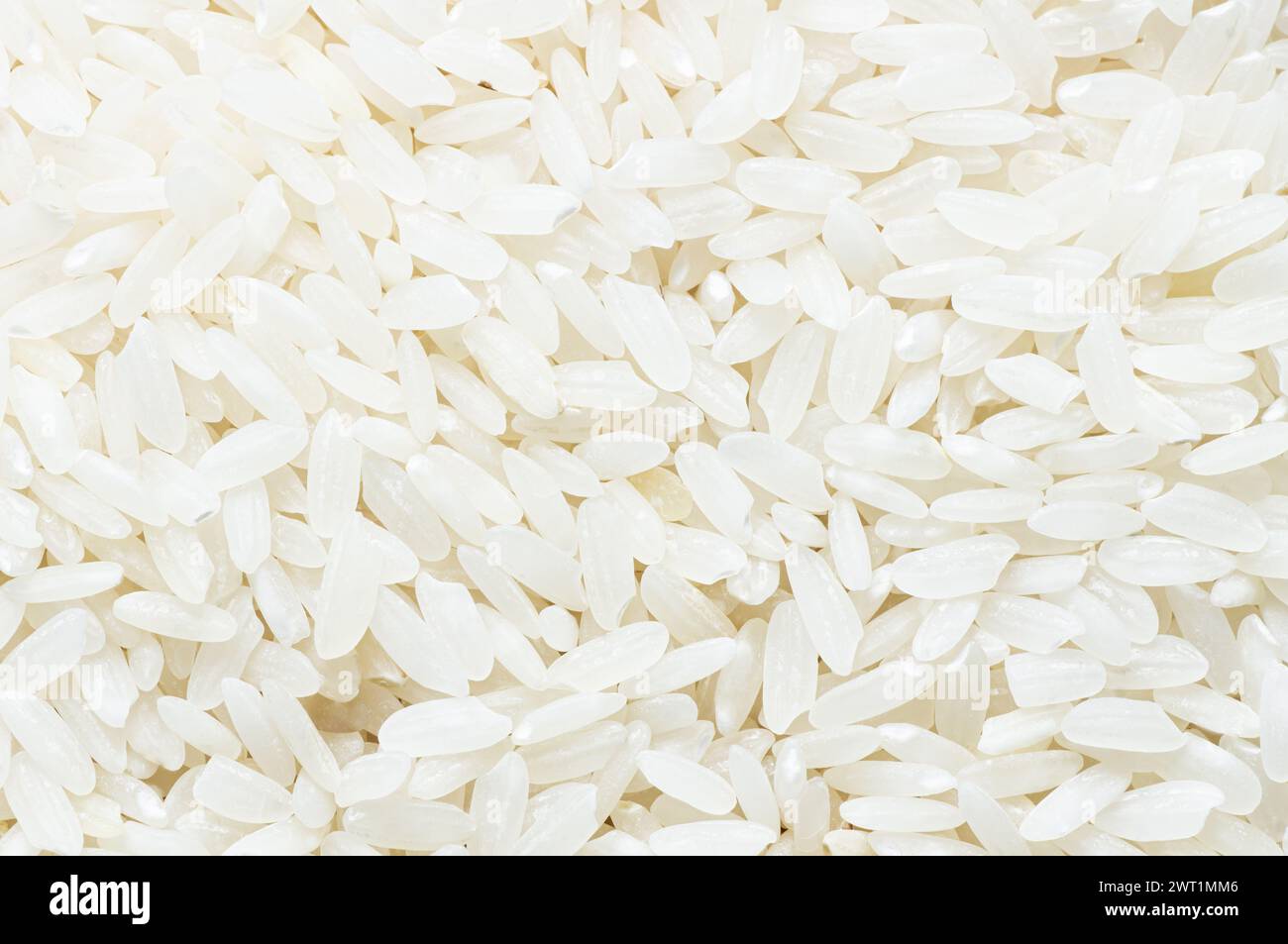 grani di riso bianco crudi turco fondo consistenza, cibo sano concetto di legumi crudi Foto Stock