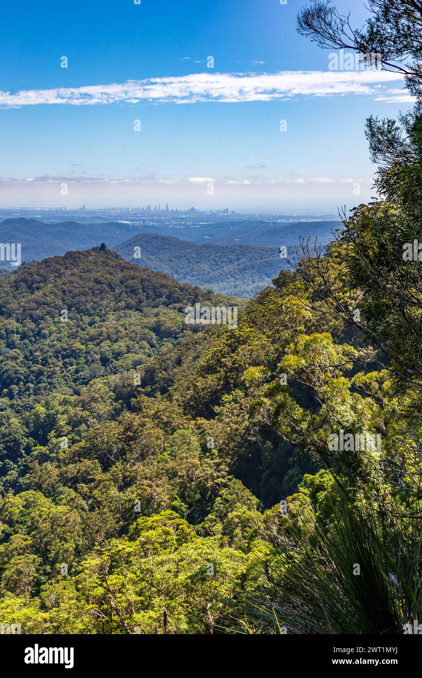 Vista della foresta pluviale nel Parco Nazionale di Springbrook con lo skyline della Gold Coast in lontananza, Queensland, Australia. Foto Stock