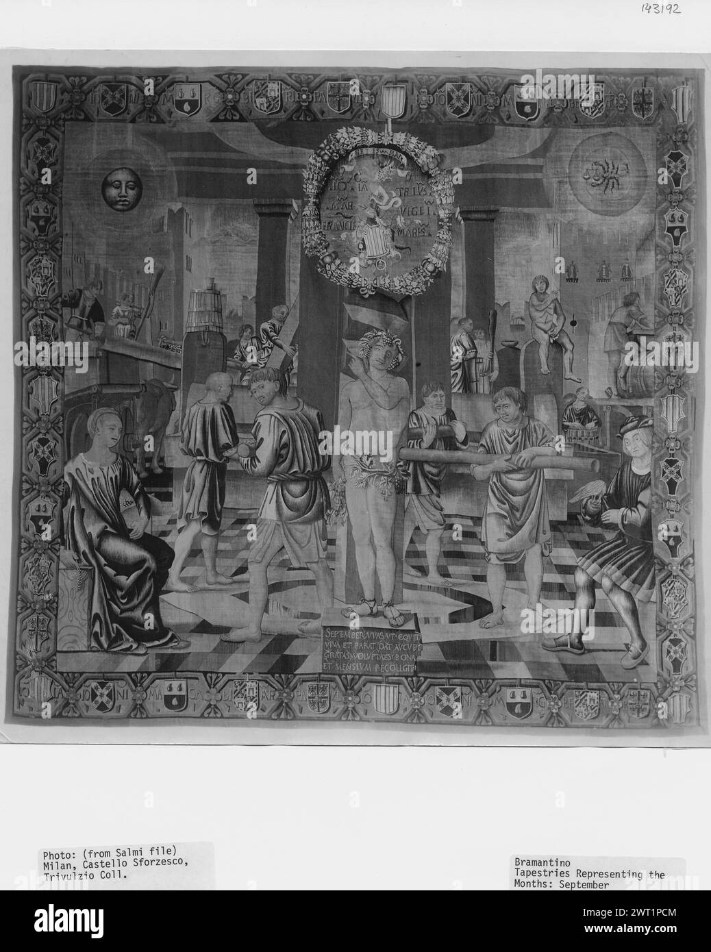 Settembre: Vinificazione. Bramantino (italiano, CA.1465-1530) (autore di design, attr.) [Pittore] Benedetto da Milano (italiano, atto. CA.1503) (laboratorio) [tessitore] c. 1501-1507 arazzi dimensioni: H 4,85-5,20 x L 4.55-485 m arazzi materiali/tecniche: Sconosciuta Cultura: Centro tessitura Italiana: , LombardyVigevano storia della proprietà: Commissionato da Gian Giacomo Trivulzio (1436-1518). Italia, Lombardia, Milano, Milano, Castello sforzesco, Civiche raccolte d'arte antica. Iscrizioni: Iscrizione nel campo centrale inferiore, su piedistallo: SETTEMBRE VVVAS VT EQVIT VINA ET PARAT DAT AVCVPI / GRATAS VOLVPTAES BON Foto Stock