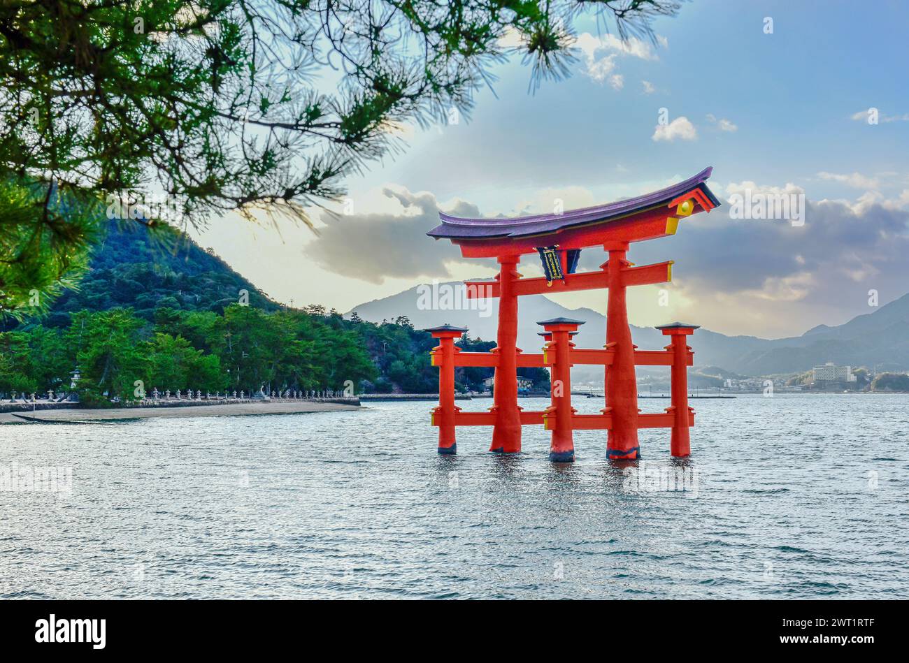 Miyajima Tori, Itsukushima, Giappone. Foto Stock