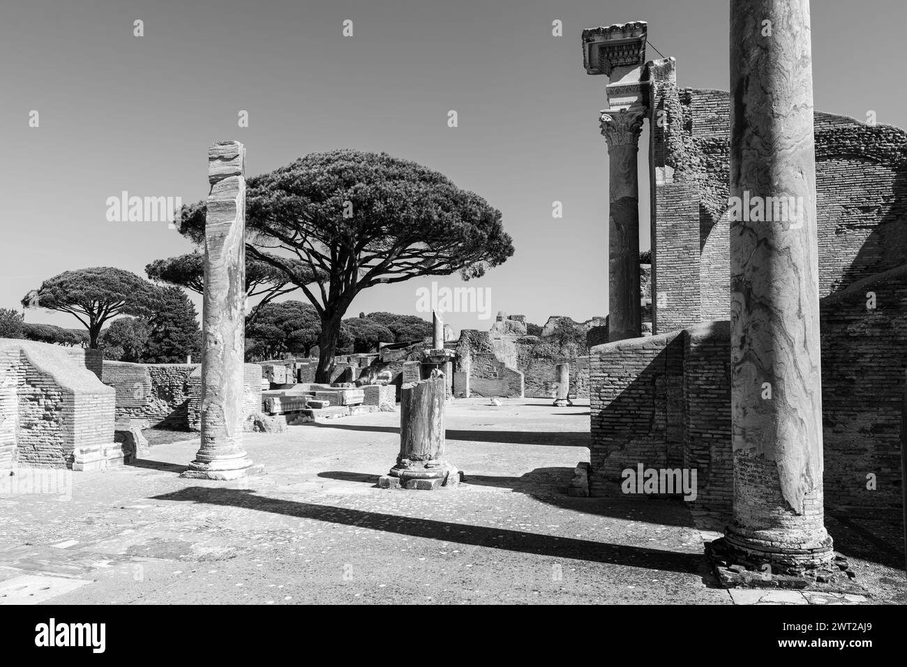 Foto in bianco e nero di colonne romane in rovine al parco archeologico dell'antica Ostia Foto Stock