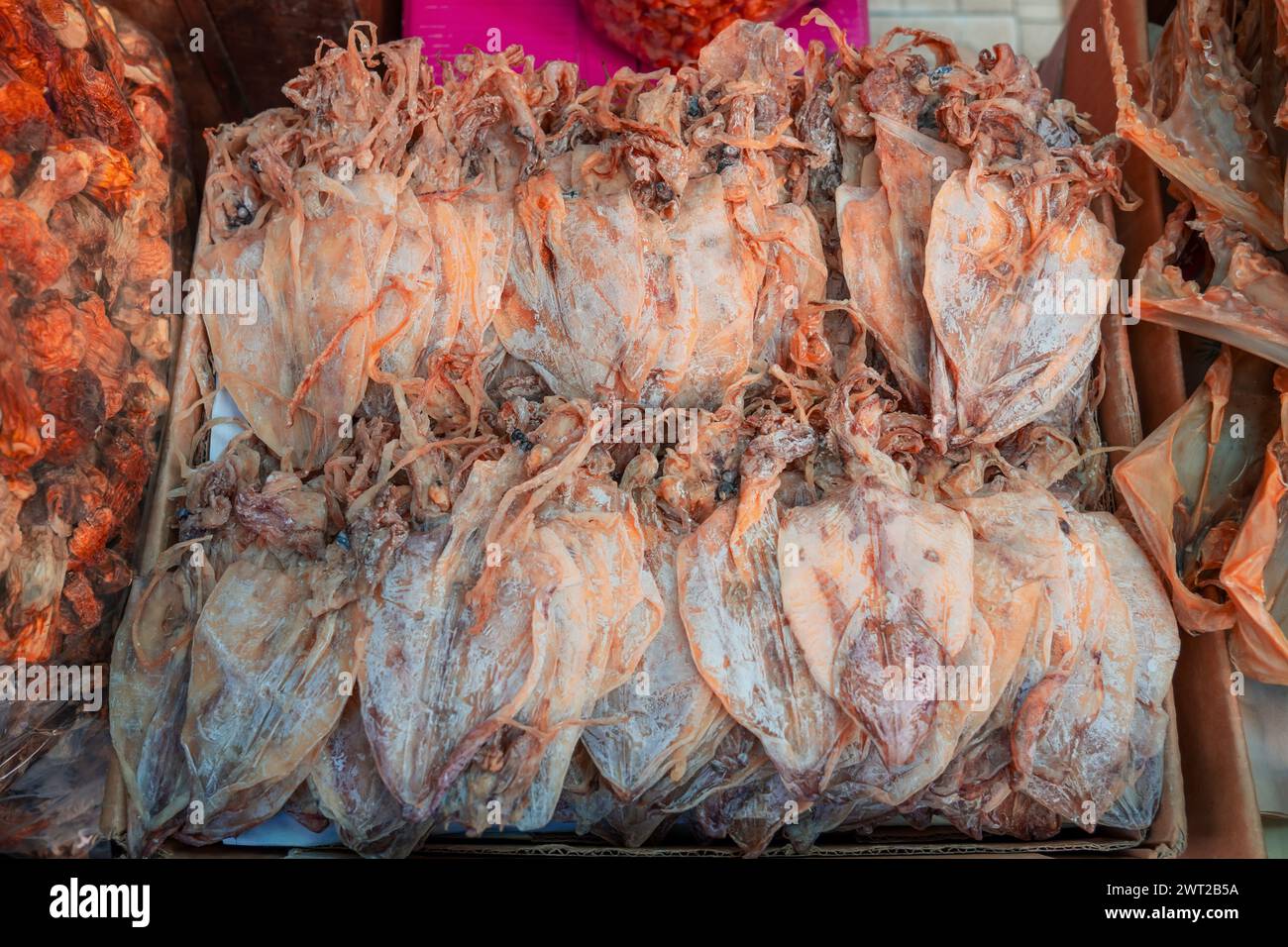 Calamari secchi in una bancarella di mercato. Foto Stock