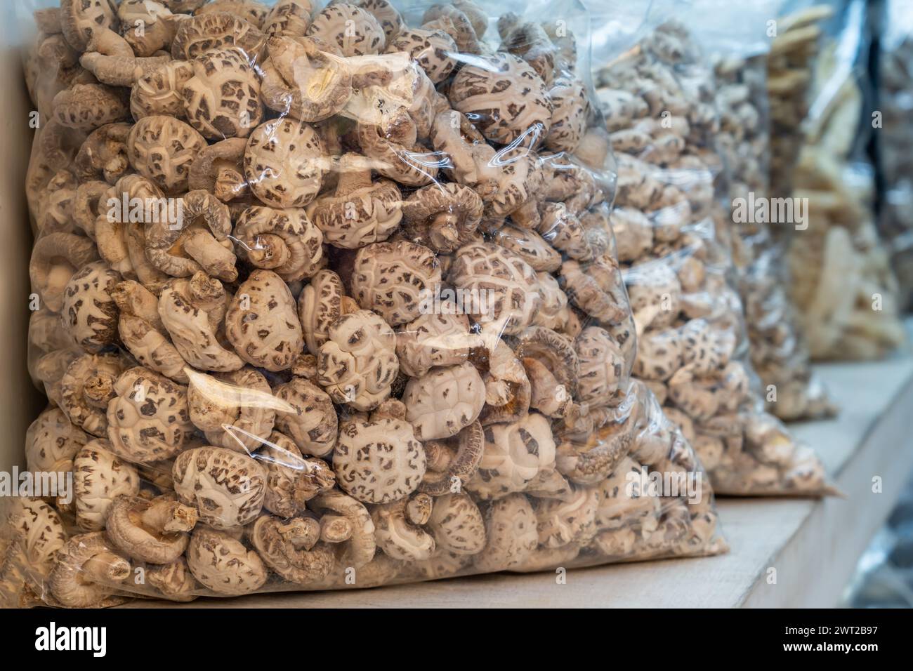 In sacchetti di plastica trasparenti, funghi shiitake in vendita sul mercato. Lo shiitake è un fungo commestibile originario dell'Asia orientale che viene coltivato e consu Foto Stock