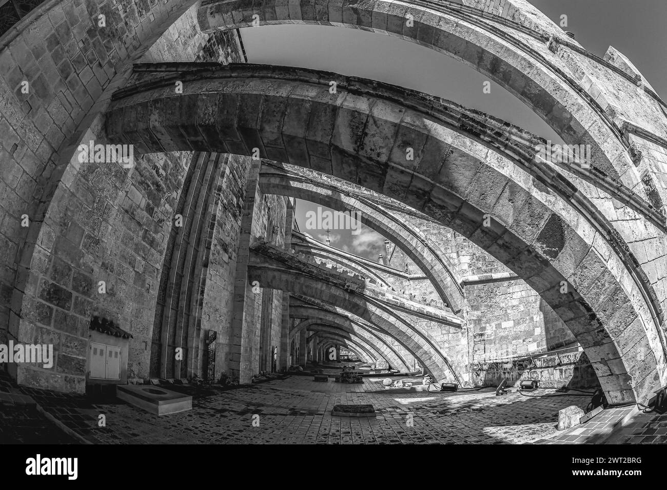 Terrazza della Cattedrale di Santa Maria di Palma, o la Seu, una cattedrale gotica cattolica situata a Palma, Maiorca, Spagna. Costruzione iniziata da Re Foto Stock