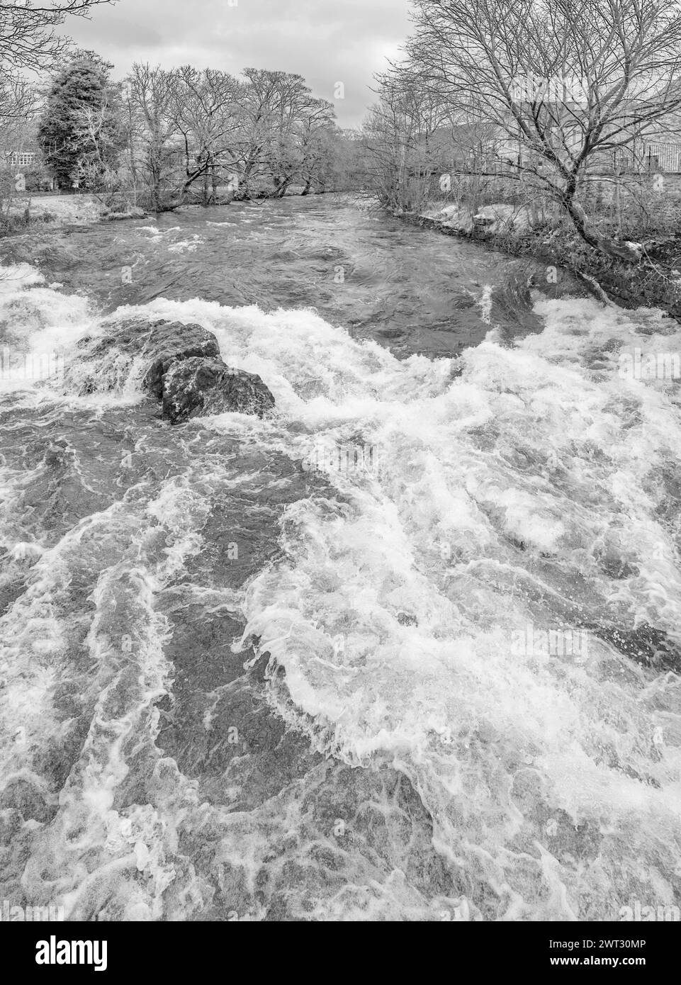 Un fragoroso ruggito d'acqua a Queens Rock sul fiume Ribble, Kingsmill, Settlement North Yorkshire Foto Stock