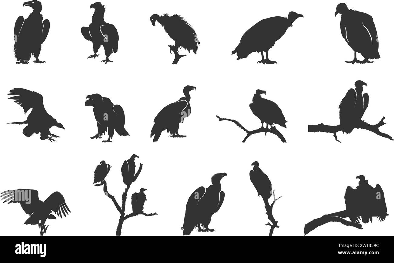 Silhouette avvoltoio, silhouette avvoltoio seduta, silhouette avvoltoio Clipart, illustrazione vettoriale avvoltoio. Illustrazione Vettoriale