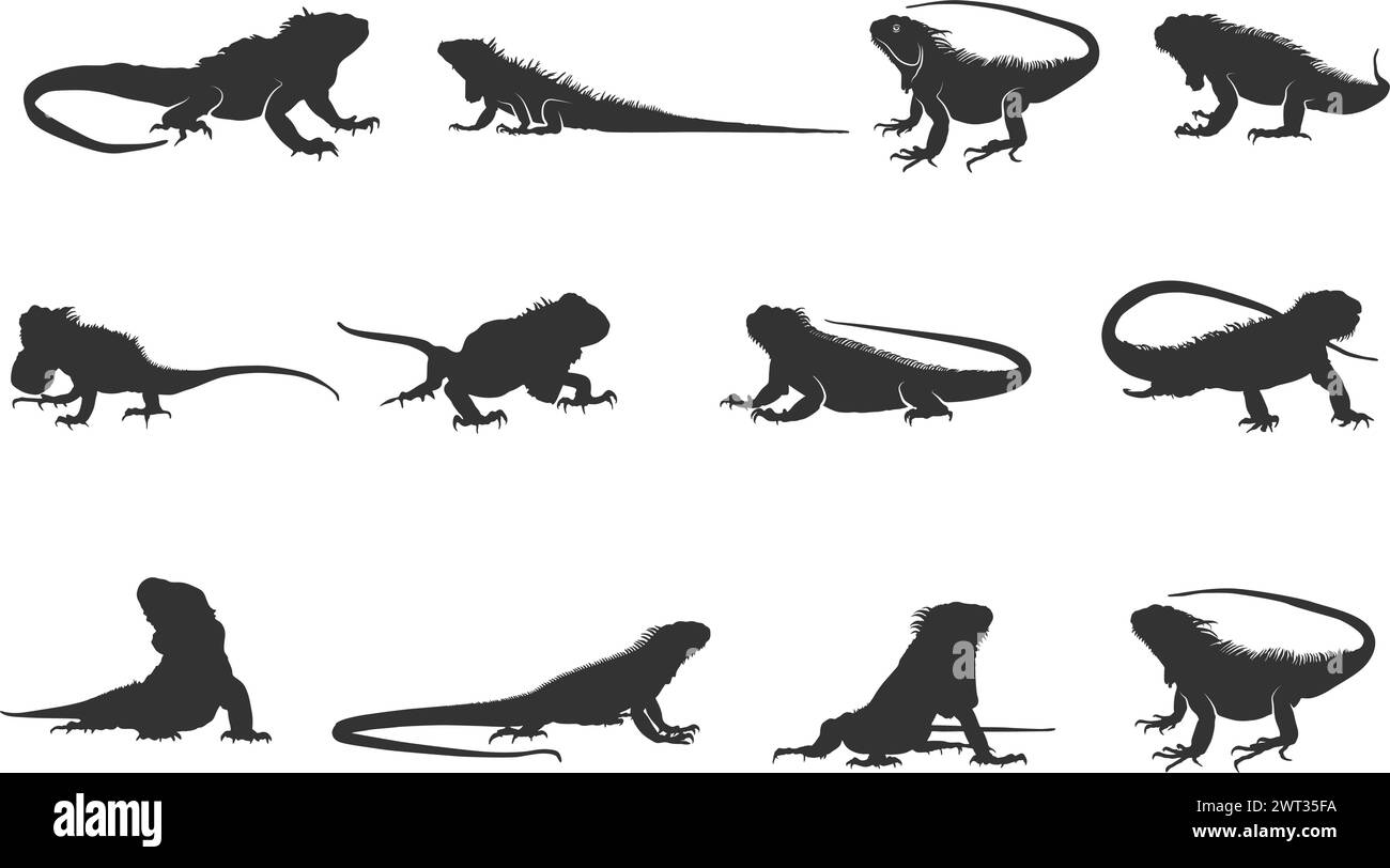 Silhouette Iguana, silhouette Iguana, illustrazione vettoriale Iguana Illustrazione Vettoriale