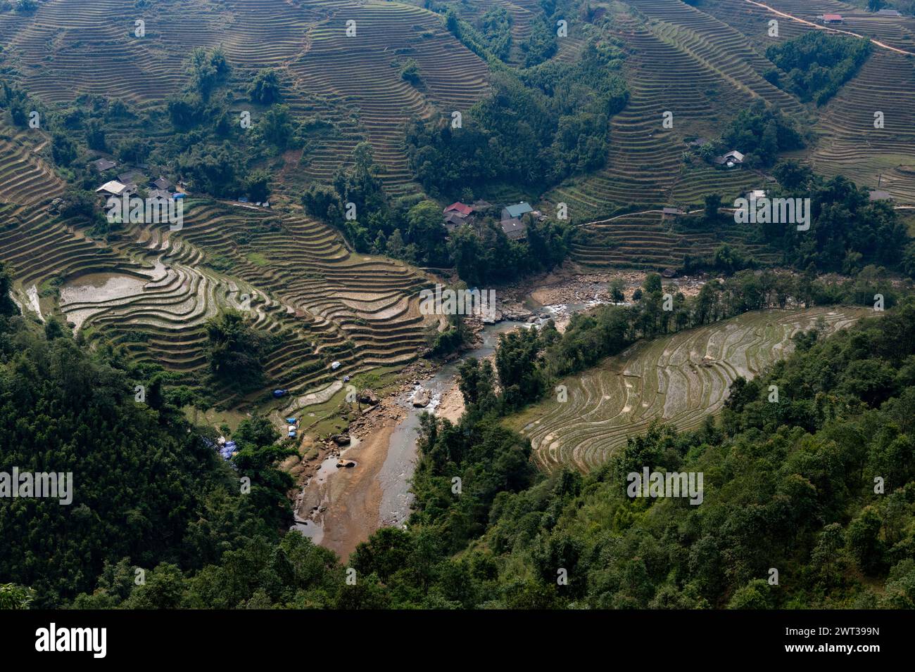 Vista dall'alto delle risaie terrazzate inondate in una valle fluviale sulle montagne della regione di Sapa, nel nord-ovest del Vietnam. Foto Stock