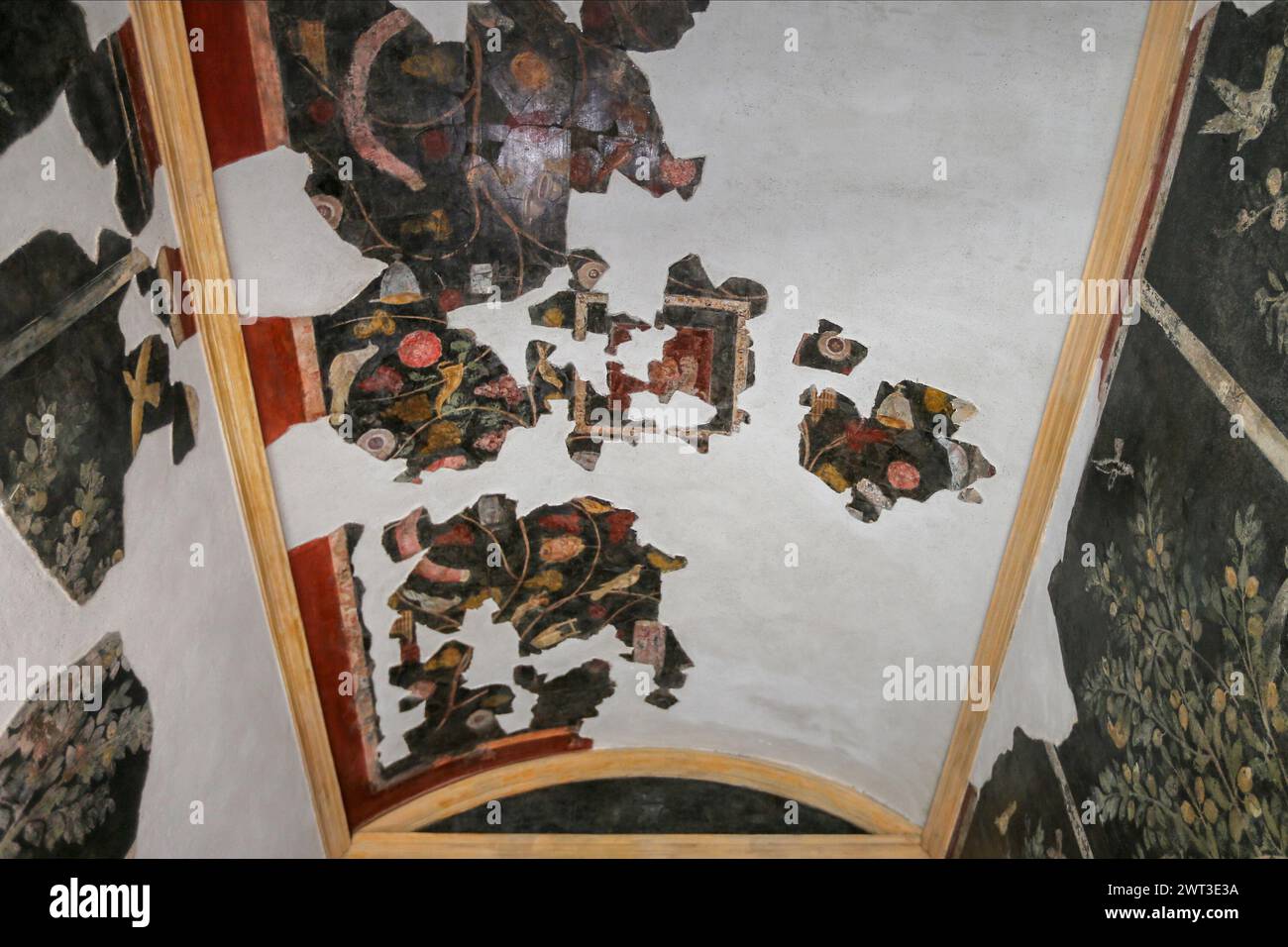 Un dettaglio di uno degli affreschi nella restaurata casa del frutteto, situata negli scavi archeologici di Pompei. Foto Stock