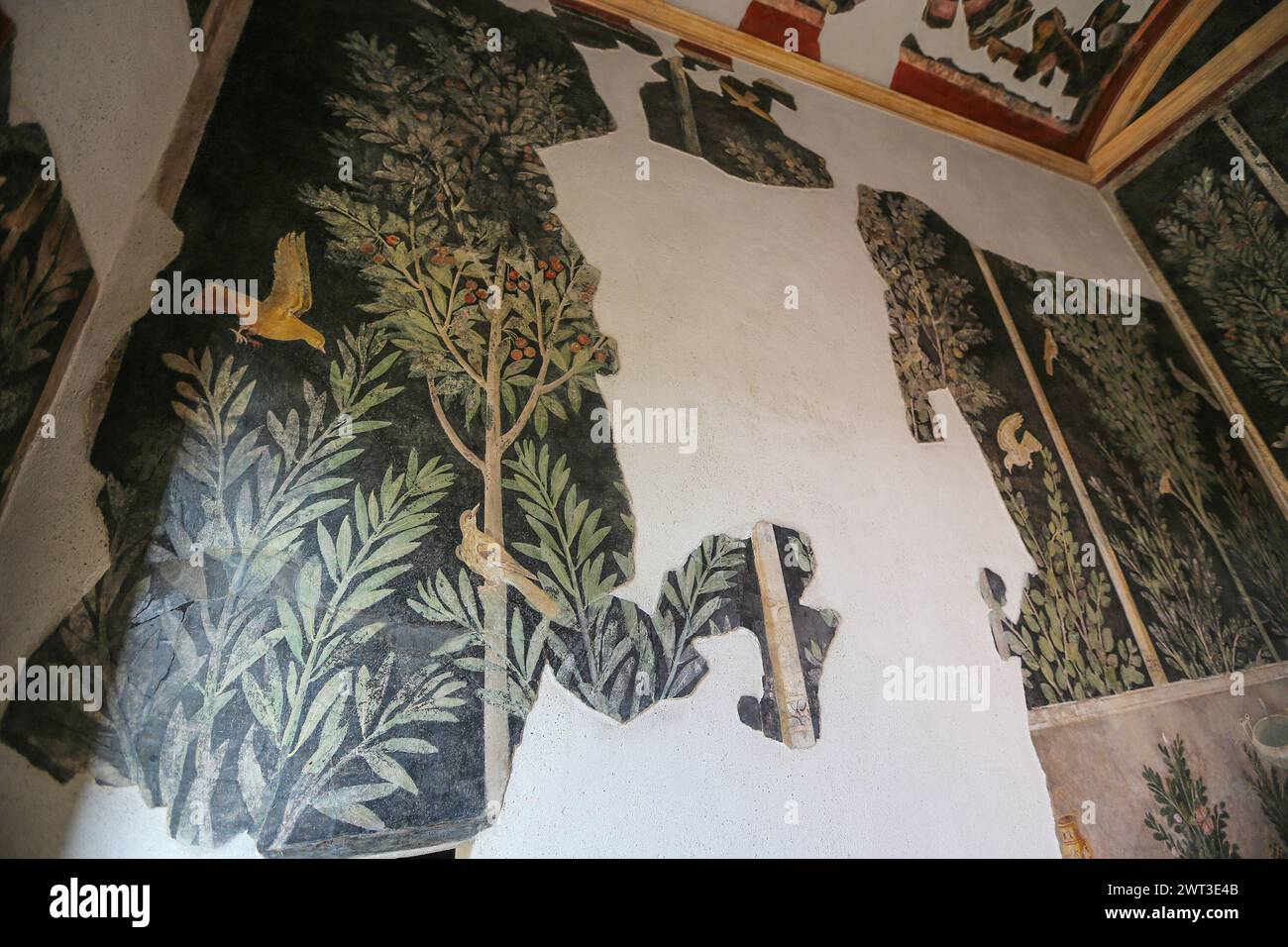Un dettaglio di uno degli affreschi nella restaurata casa del frutteto, situata negli scavi archeologici di Pompei. Foto Stock