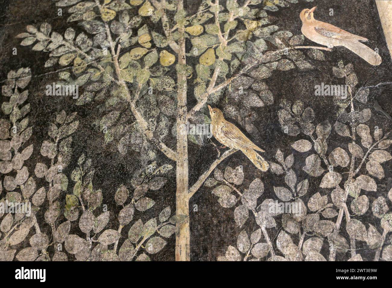 Un dettaglio di uno degli affreschi nella restaurata casa del frutteto, situata negli scavi archeologici di Pompei. Foto Stock