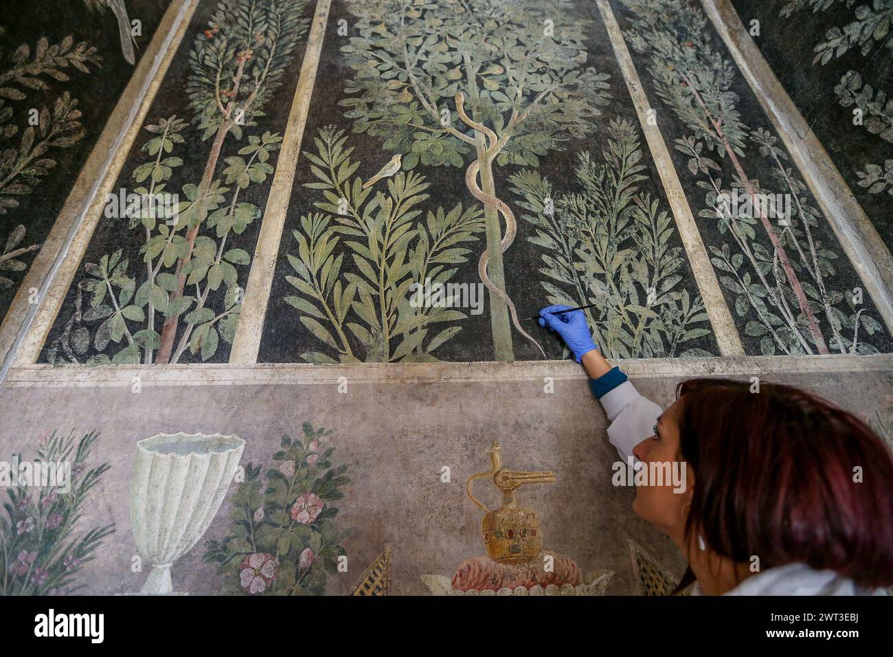 Un restauratore lavora su uno degli affreschi della restaurata Orchard House, situata negli scavi archeologici di Pompei. Foto Stock