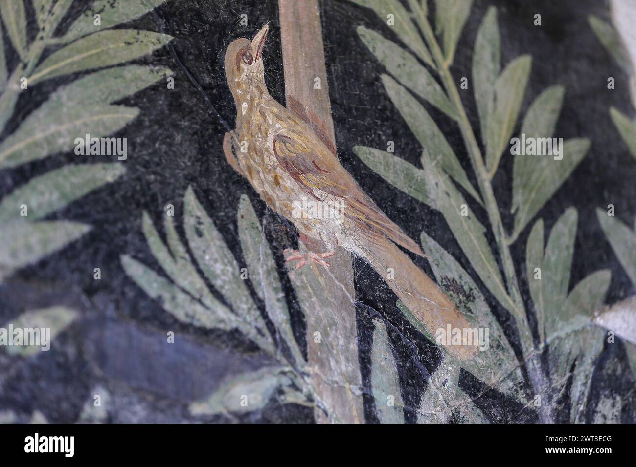 Un dettaglio di uno degli affreschi nella restaurata casa del frutteto, situata negli scavi archeologici di Pompei. Foto Stock