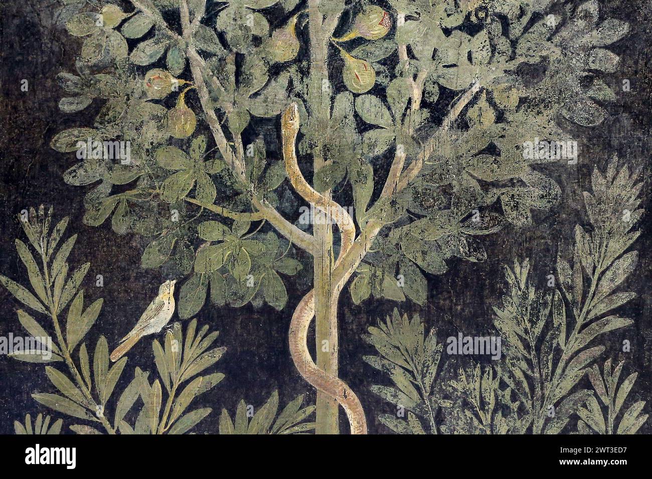 Un dettaglio di uno degli affreschi nella restaurata casa del frutteto, situata negli scavi archeologici di Pompei. Foto Stock