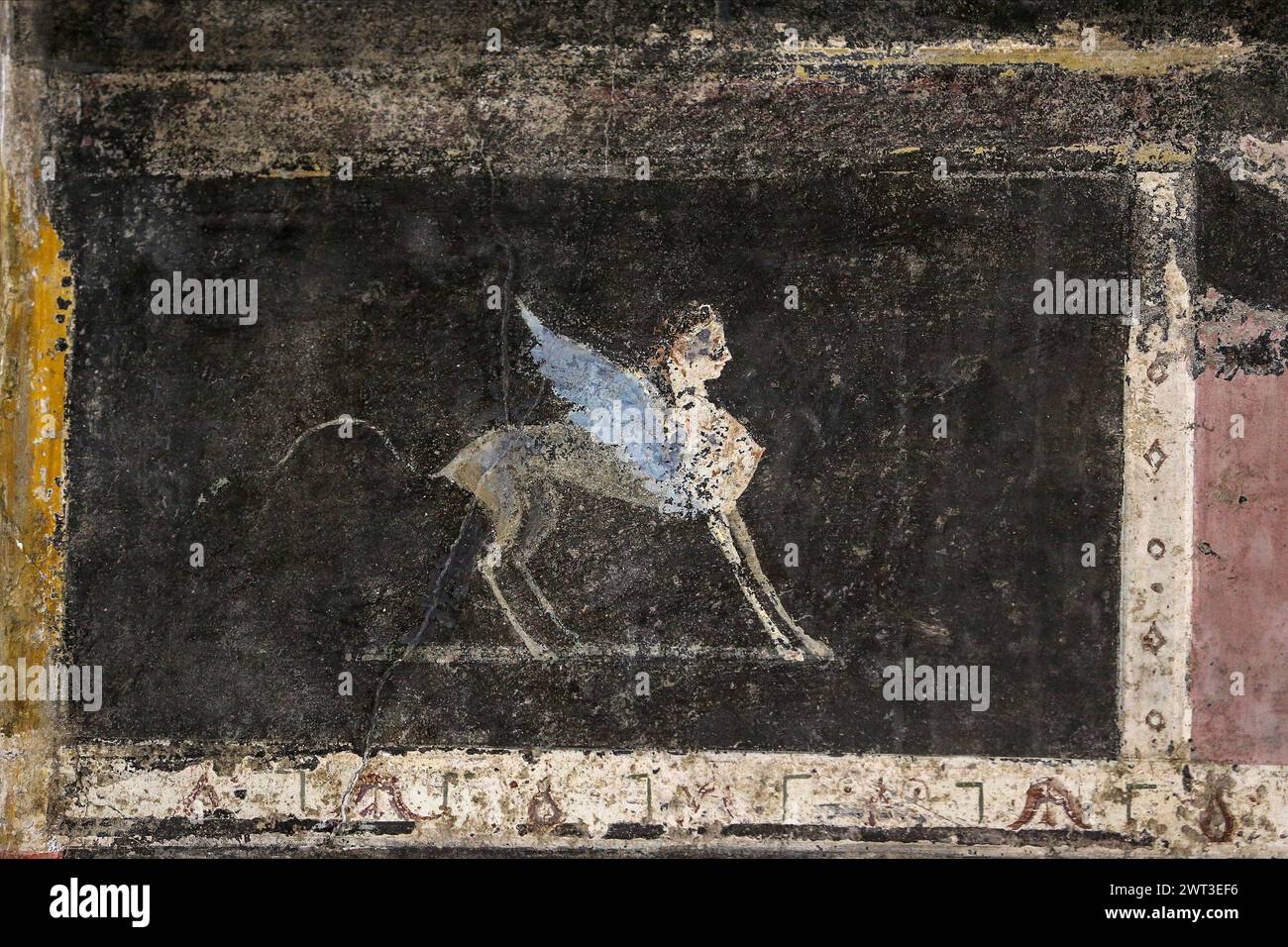 Un dettaglio di uno degli affreschi nella restaurata casa del frutteto, situata negli scavi archeologici di Pompei. Foto Stock