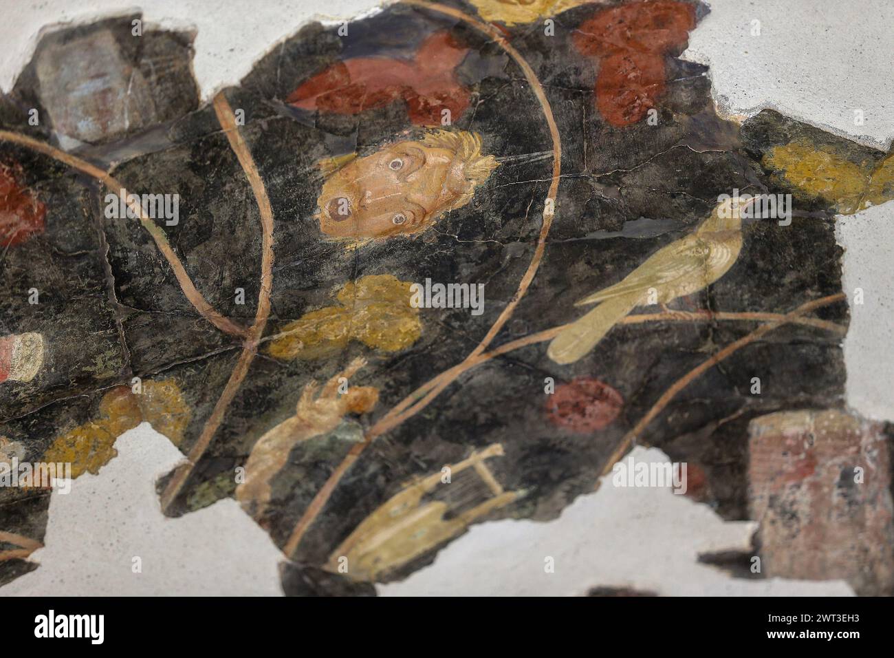 Un dettaglio di uno degli affreschi nella restaurata casa del frutteto, situata negli scavi archeologici di Pompei. Foto Stock