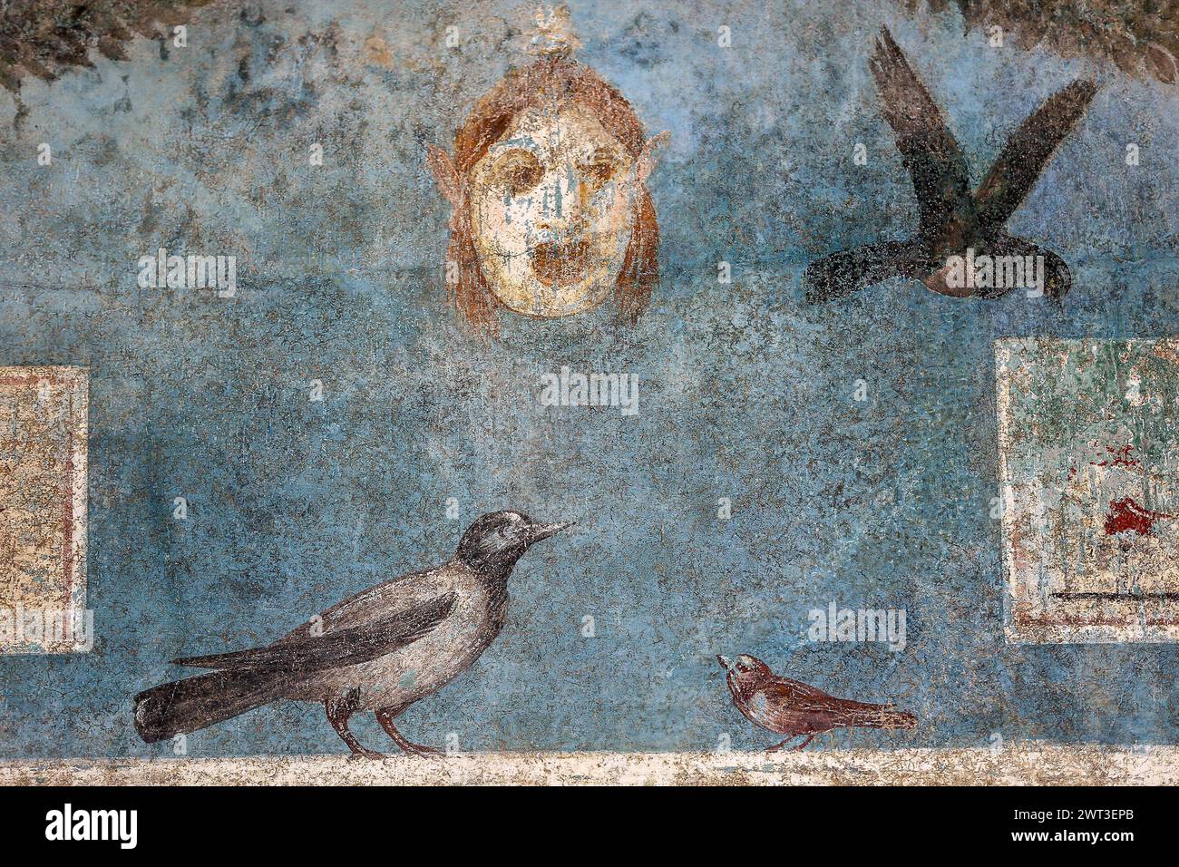 Un dettaglio di uno degli affreschi nella restaurata casa del frutteto, situata negli scavi archeologici di Pompei. Foto Stock