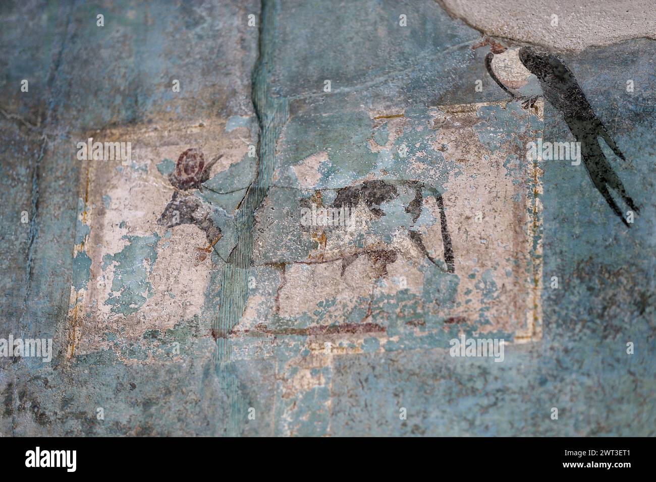 Un dettaglio di uno degli affreschi nella restaurata casa del frutteto, situata negli scavi archeologici di Pompei. Foto Stock