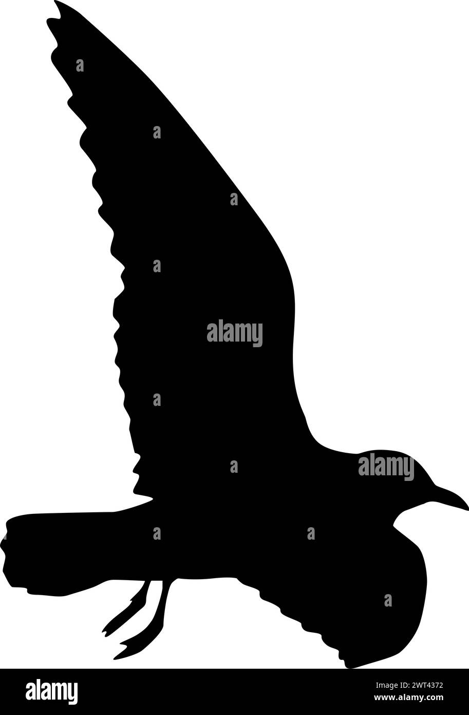 Silhouette su sfondo bianco di un gabbiano marino. Illustrazione Vettoriale