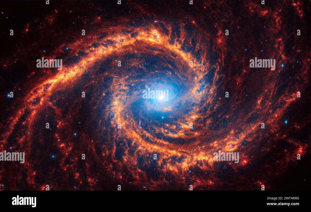 Osservazioni di James Webb Space Telescope sulla galassia a spirale NGC 1566. l'immagine originale è stata ruotata e regolata per maggiore chiarezza. CREDITI: NASA, ESA, CSA, STScI, Janice Lee (STScI), Thomas Williams (Oxford), squadra PHANGS Foto Stock