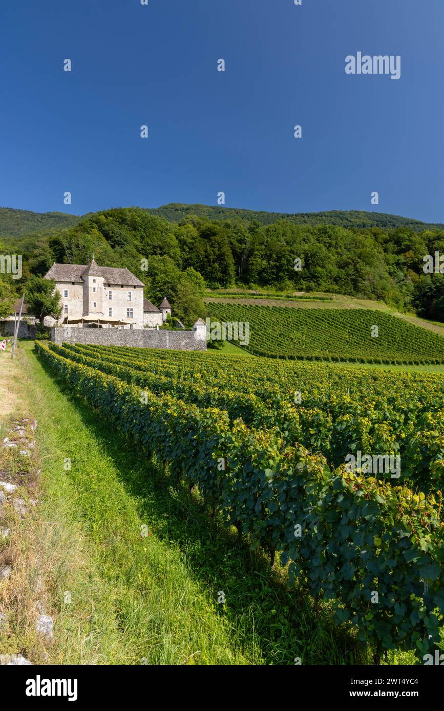 Chateau du Grand Mecoras Chateau de Grand Mercoras, Auvergne-Rodano-Alpes, Savoia, Francia Foto Stock