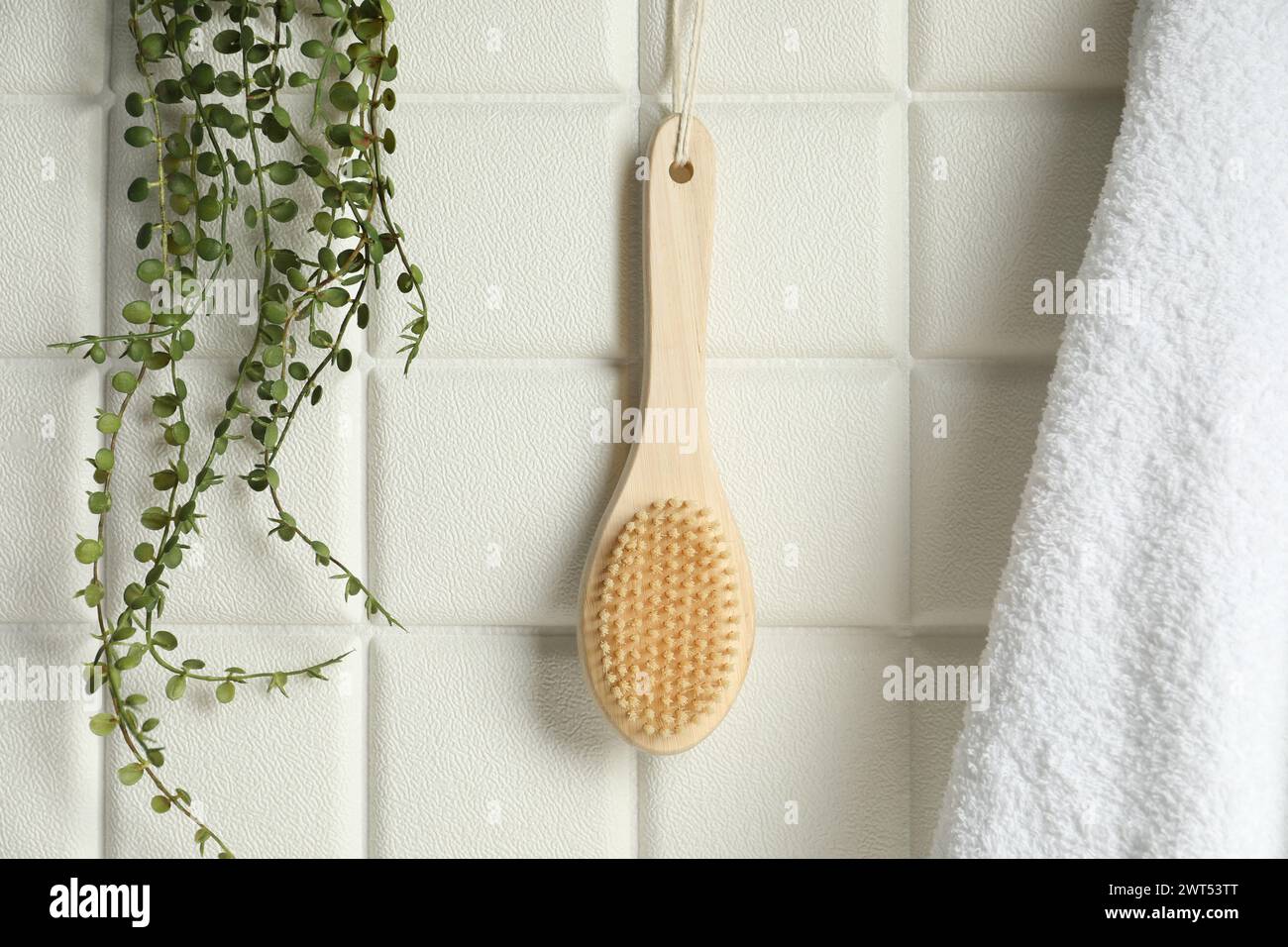 Accessori per il bagno. Spazzola di bambù, spugna e pianta verde su pareti piastrellate bianche Foto Stock