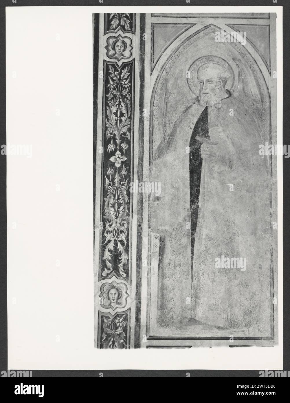 Toscana Siena Montalcino S. Agostino57. Hutzel, Max 1960-1990 Medieval: Architettura, scultura architettonica (XIV secolo). Post-medioevale: Affreschi (XII secolo) raffiguranti santi, vita di S. Agostino, la risurrezione Note generali: Quando questi negativi furono inviati si confondeva con l'identificazione di queste stampe e negativi e di quelle di S. Antimo. È POSSIBILE CHE esista ancora una certa mescolanza. Il fotografo e studioso tedesco Max Hutzel (1911-1988) fotografò in Italia dai primi anni '1960 fino alla sua morte. Il risultato di questo progetto, citato da Hutzel come foto Arte minore, è un documentario completo Foto Stock