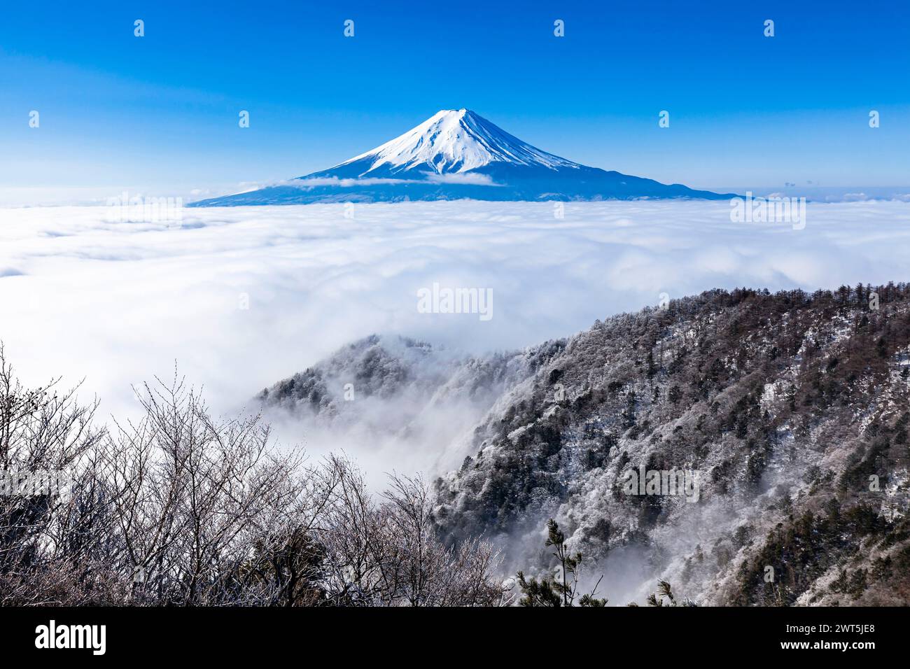 Monte Fuji, mare di nuvole, vista dal monte Mitsutouge (1785 m), Nishikatsura-cho, Yamanashi, Giappone, Asia orientale, Asia Foto Stock