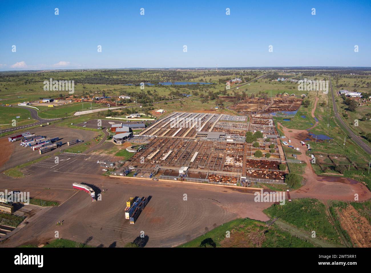Aerea dei Roma Saleyards, il più grande centro di vendita di bestiame australiano, con oltre 400.000 capi di bestiame che passano attraverso un anno. Roma, Queensland, Australia Foto Stock