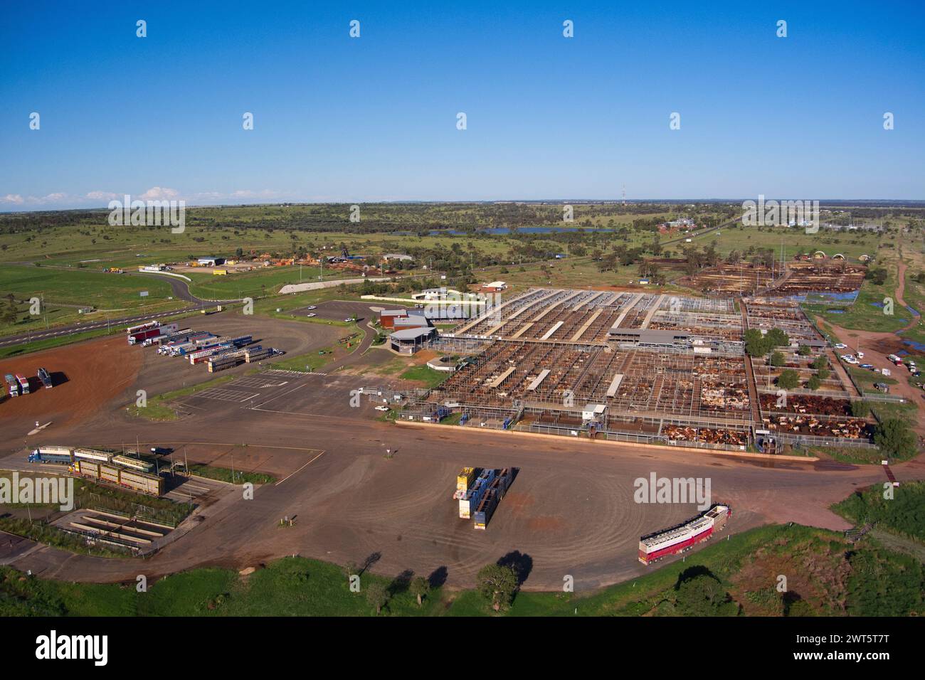 Aerea di saleyards per bestiame Roma Queensland Australia Foto Stock