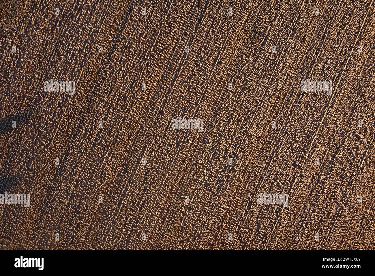 Drone aereo di campi di grano vicino a Wallumbilla sulla Maranoa Queensland Australia Foto Stock