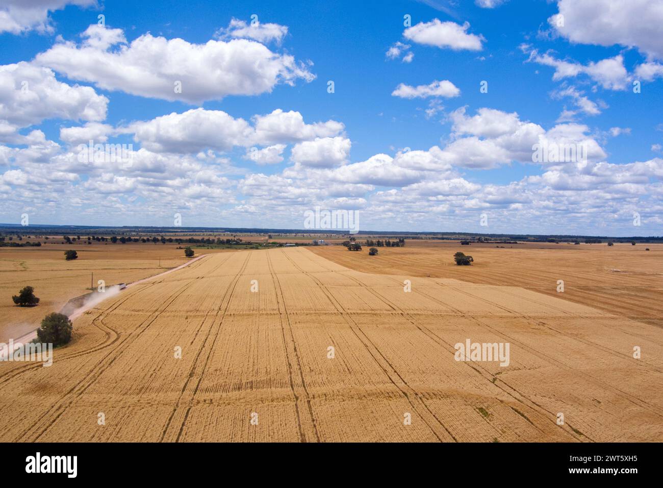 Antenna di strada rurale che passa attraverso campi di grano vicino a Wallumbilla sulla Maranoa Queensland Australia Foto Stock