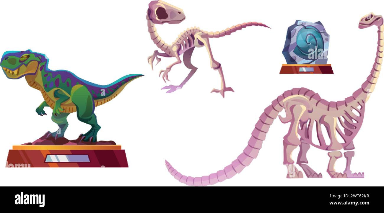 Mostre del museo archeologico: Scheletri di dinosauro, animali ricreati e pietra con impronta. Collezione di illustrazioni vettoriali cartoni animati di jurassic pr Illustrazione Vettoriale